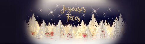 banner-joyeuses-fetes-2017-C.jpg